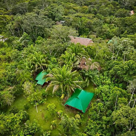 Tronco Tambopata Adventure Hotel Puerto Maldonado Kültér fotó