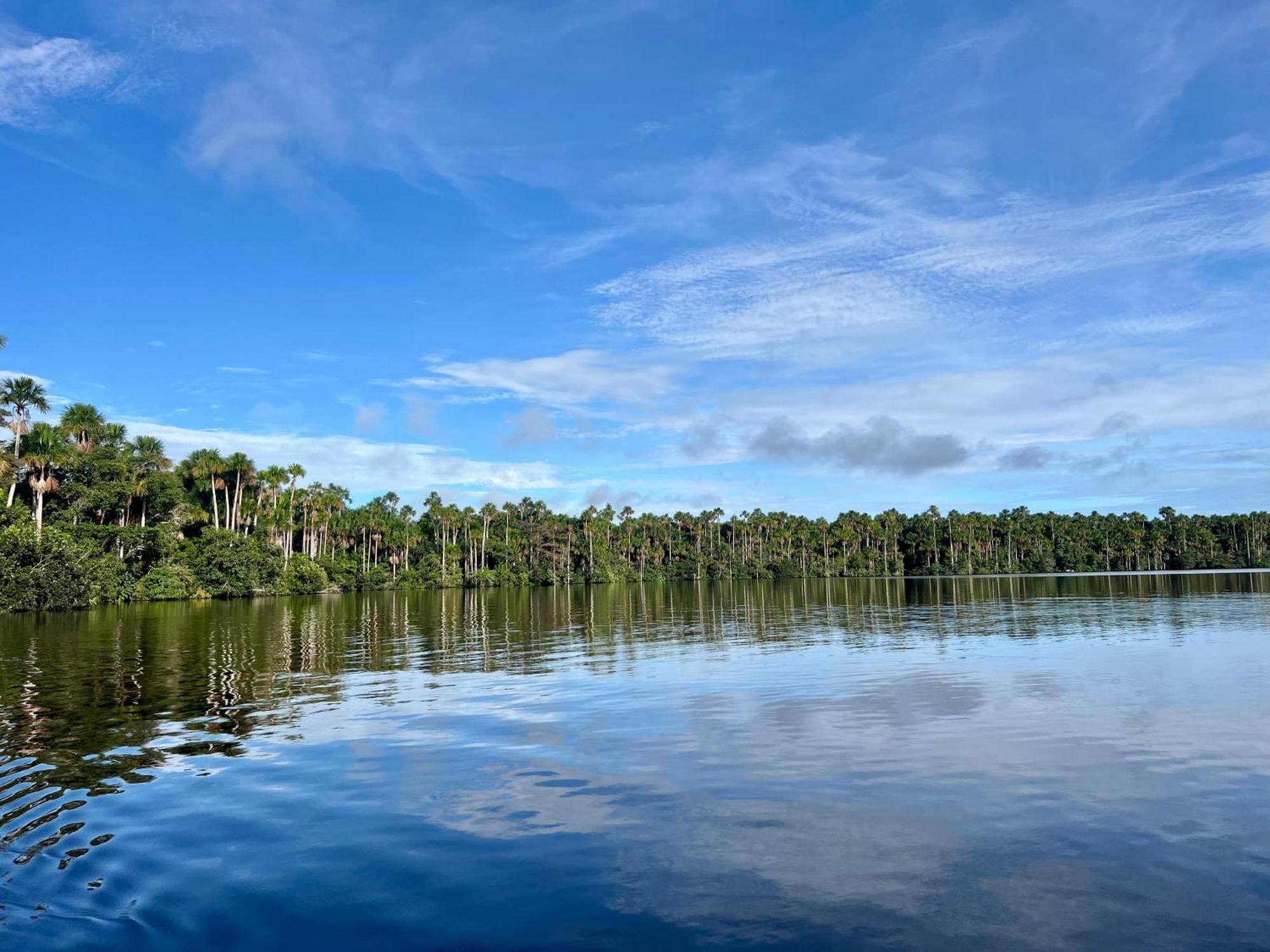 Tronco Tambopata Adventure Hotel Puerto Maldonado Kültér fotó
