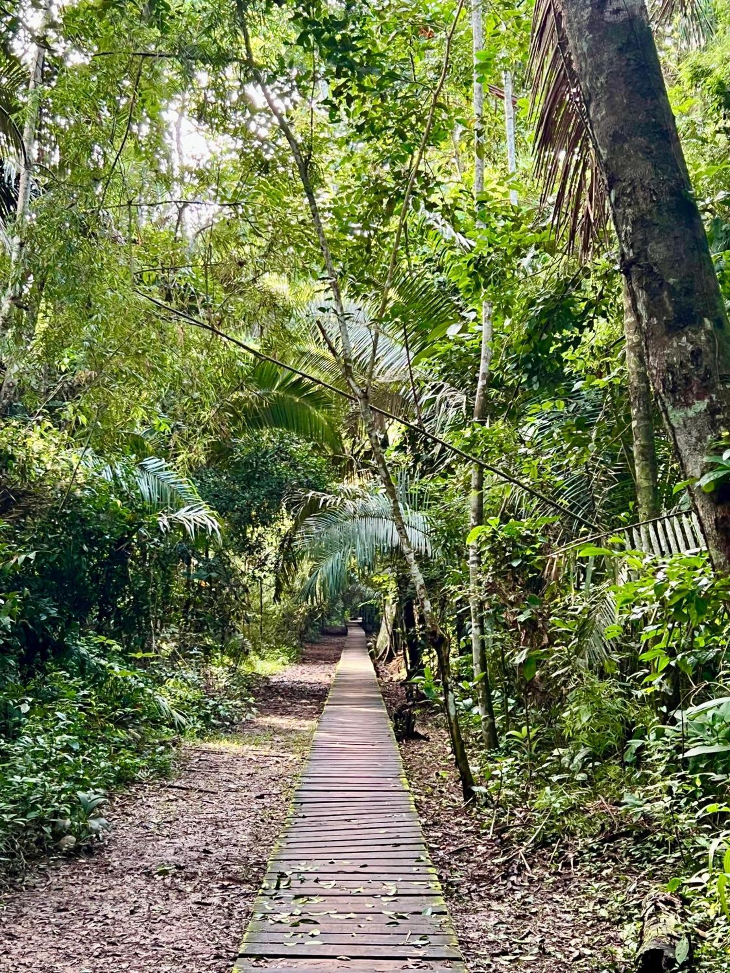 Tronco Tambopata Adventure Hotel Puerto Maldonado Kültér fotó