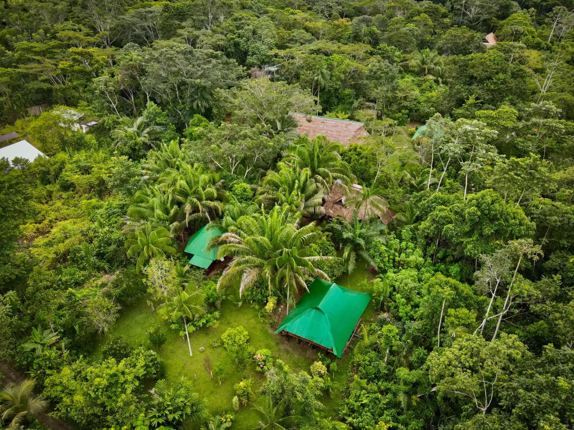 Tronco Tambopata Adventure Hotel Puerto Maldonado Kültér fotó