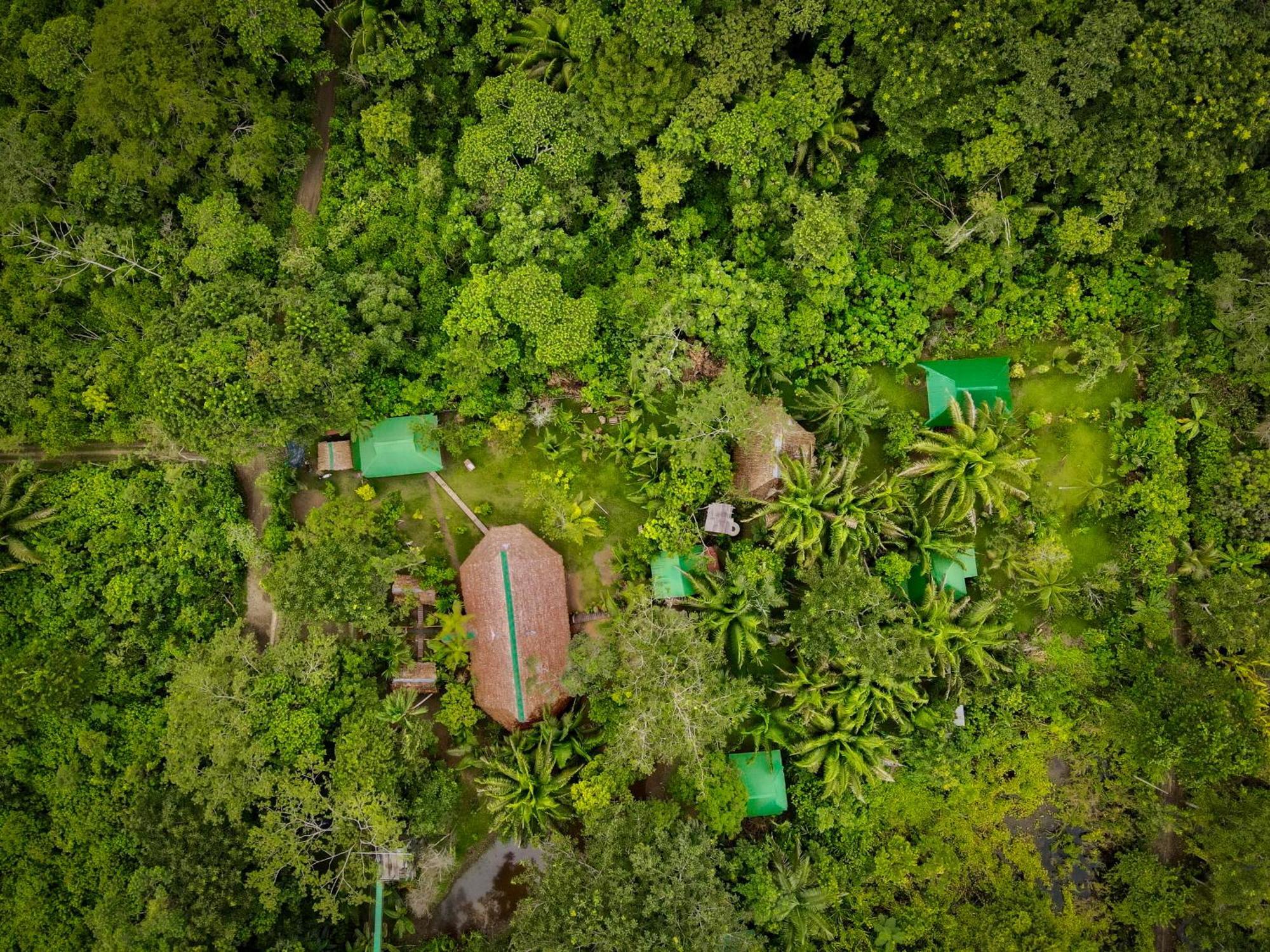 Tronco Tambopata Adventure Hotel Puerto Maldonado Kültér fotó